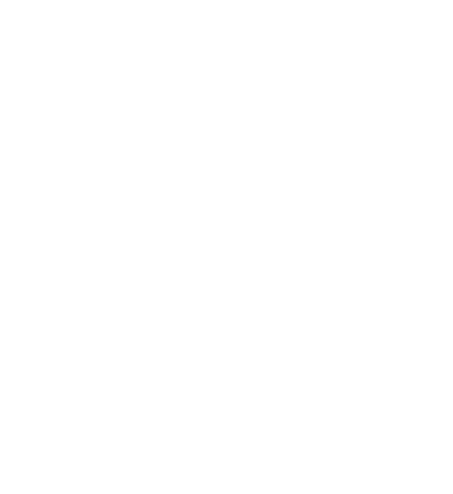 Bible Blitz